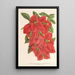 Bougainvillea spectabilis - Charles Antoine Lemaire — oprawiony obraz na ścianie