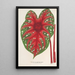 Reprodukcja obrazu Caladium Duc Adolphe de Nassau - Charles Antoine Lemaire
