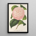 Reprodukcja obrazu Camellia Archiduc Étienne - Charles Antoine Lemaire