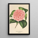 Camellia Elvina Delli - Charles Antoine Lemaire — oprawiony obraz na ścianie