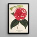 Camellia Giardino Santarelli - Charles Antoine Lemaire — oprawiony obraz na ścianie