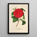 Reprodukcja obrazu Camellia Il Giogello - Charles Antoine Lemaire