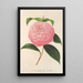 Camellia Isabella Orsini Franchetti - Charles Antoine Lemaire — oprawiony obraz na ścianie