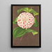 Camellia Madame Verschaffelt - Charles Antoine Lemaire — oprawiony obraz na ścianie
