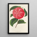 Camellia Ninfa del Tebro - Charles Antoine Lemaire — oprawiony obraz na ścianie