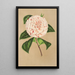 Reprodukcja obrazu Camellia Principessa Clotilde - Charles Antoine Lemaire