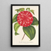 Reprodukcja obrazu Camellia Souvenir d'Émile Defresne - Charles Antoine Lemaire