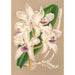 Cattleya amethystoglossa - Charles Antoine Lemaire — widok dzieła
