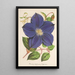 Clematis Jackmani - Charles Antoine Lemaire — oprawiony obraz na ścianie