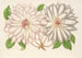 Clematis patens - Charles Antoine Lemaire — widok dzieła