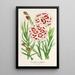 Reprodukcja obrazu Dianthus Verschaffeltii - Charles Antoine Lemaire