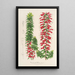 Reprodukcja obrazu Epacris multiflora - Charles Antoine Lemaire