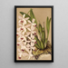 Reprodukcja obrazu Epidendrum conspicuum - Charles Antoine Lemaire