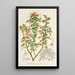 Reprodukcja obrazu Grevillea alpestris - Charles Antoine Lemaire