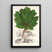 Reprodukcja obrazu Gunnera brephogea - Charles Antoine Lemaire