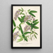 Hardenbergia Makoyana hybrida - Charles Antoine Lemaire — oprawiony obraz na ścianie