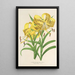 Reprodukcja obrazu Lilium Leichtlinii - Charles Antoine Lemaire