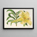 Lilium neilgherricum - Charles Antoine Lemaire — oprawiony obraz na ścianie