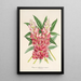 Reprodukcja obrazu Lupinus insignis hybridus - Charles Antoine Lemaire