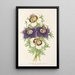 Reprodukcja obrazu Nigella hispanica variétés de la - Charles Antoine Lemaire