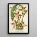 Reprodukcja obrazu Odontoglossum hallii - Charles Antoine Lemaire