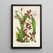 Reprodukcja obrazu Odontoglossum reichenheimii - Charles Antoine Lemaire