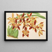 Odontoglossum luteopurpureum var. sceptrum - Charles Antoine Lemaire — oprawiony obraz na ścianie