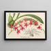 Odontoglossum roseum - Charles Antoine Lemaire — oprawiony obraz na ścianie