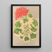 Reprodukcja obrazu Pelargonia zonalna var. quadricolor - Charles Antoine Lemaire