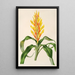 Pitcairnia andreana - Charles Antoine Lemaire — oprawiony obraz na ścianie