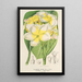 Plumeria lutea - Charles Antoine Lemaire — oprawiony obraz na ścianie