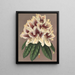 Rhododendron Archiduc Albert hybrydowy - Charles Antoine Lemaire — oprawiony obraz na ścianie