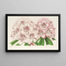 Rhododendron Bijou de Gand hybrydowy - Charles Antoine Lemaire — oprawiony obraz na ścianie