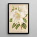 Rhododendron Sesterianum hybrydowy - Charles Antoine Lemaire — oprawiony obraz na ścianie