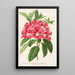Reprodukcja obrazu Rhododendron azaleoides var. crispinorum - Charles Antoine Lemaire