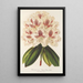 Rhododendron hybrydowy Baron Osy - Charles Antoine Lemaire — oprawiony obraz na ścianie