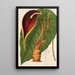 Reprodukcja obrazu Steudnera colocasifolia - Charles Antoine Lemaire