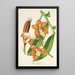 Reprodukcja obrazu Vanda Cathearty - Charles Antoine Lemaire