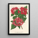Reprodukcja obrazu Weigelia Middendorffiana var purpurata - Charles Antoine Lemaire