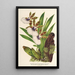 Reprodukcja obrazu Zygopetalum Gautieri - Charles Antoine Lemaire