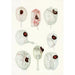 Reprodukcja obrazu Les dinoflagellés libres non cuirassés pl 12 - Charles Atwood Kofoid