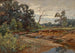 z drewna Indiana - Charles Conner — widok dzieła