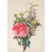 Reprodukcja obrazu Hibiscus - Charles Demuth