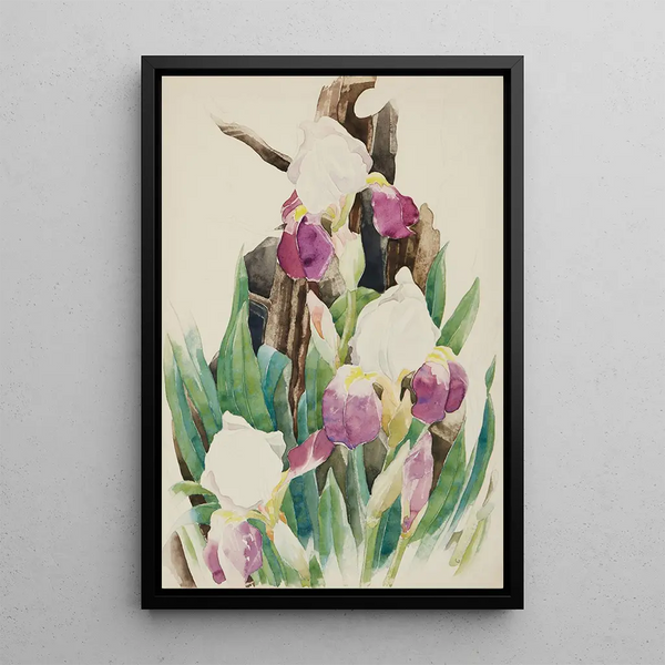 Iris - Charles Demuth — oprawiony obraz na ścianie