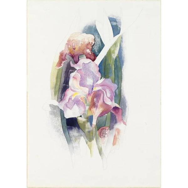 purpurowej irysy - Charles Demuth — oprawiony obraz na ścianie
