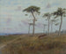 Bétail paissant parmi les cyprès de Monterey - Charles Dorman Robinson — widok dzieła