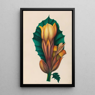 Charles Empson - Drawings of tropical flowers and fruits from South America Pl02.webp