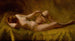 Vanité - Charles Frederick Ulrich — widok dzieła