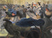 Au bal - Charles Maurin — widok dzieła