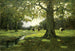 Ruisseau de prairie - Charles Paul Gruppe — widok dzieła